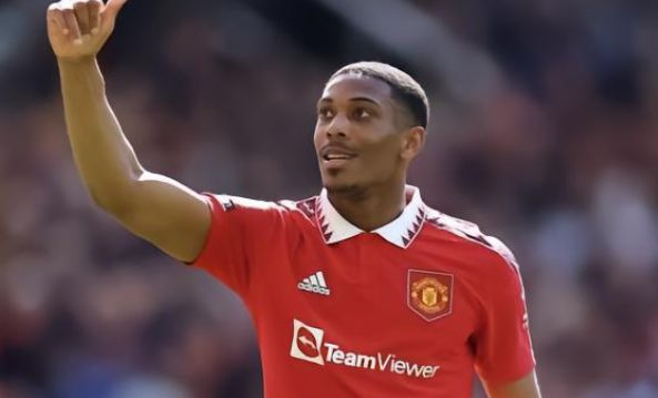 蒂格的职业 蒂格的职业